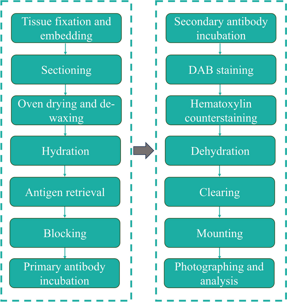 Differential analysis of sorting nexin 10 and sterol regulatory element–binding protein 2 expression in inflammatory bowel disease