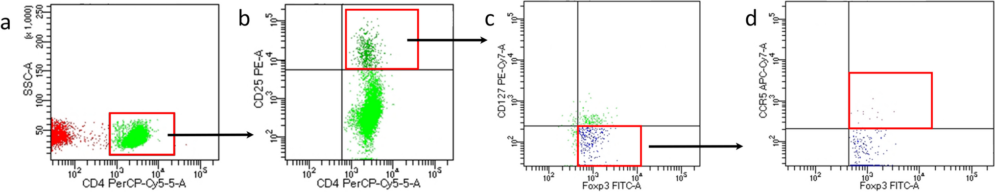 Exploring CCR5 + T regulatory cell subset dysfunction in type 1 diabetes patients: implications for immune regulation