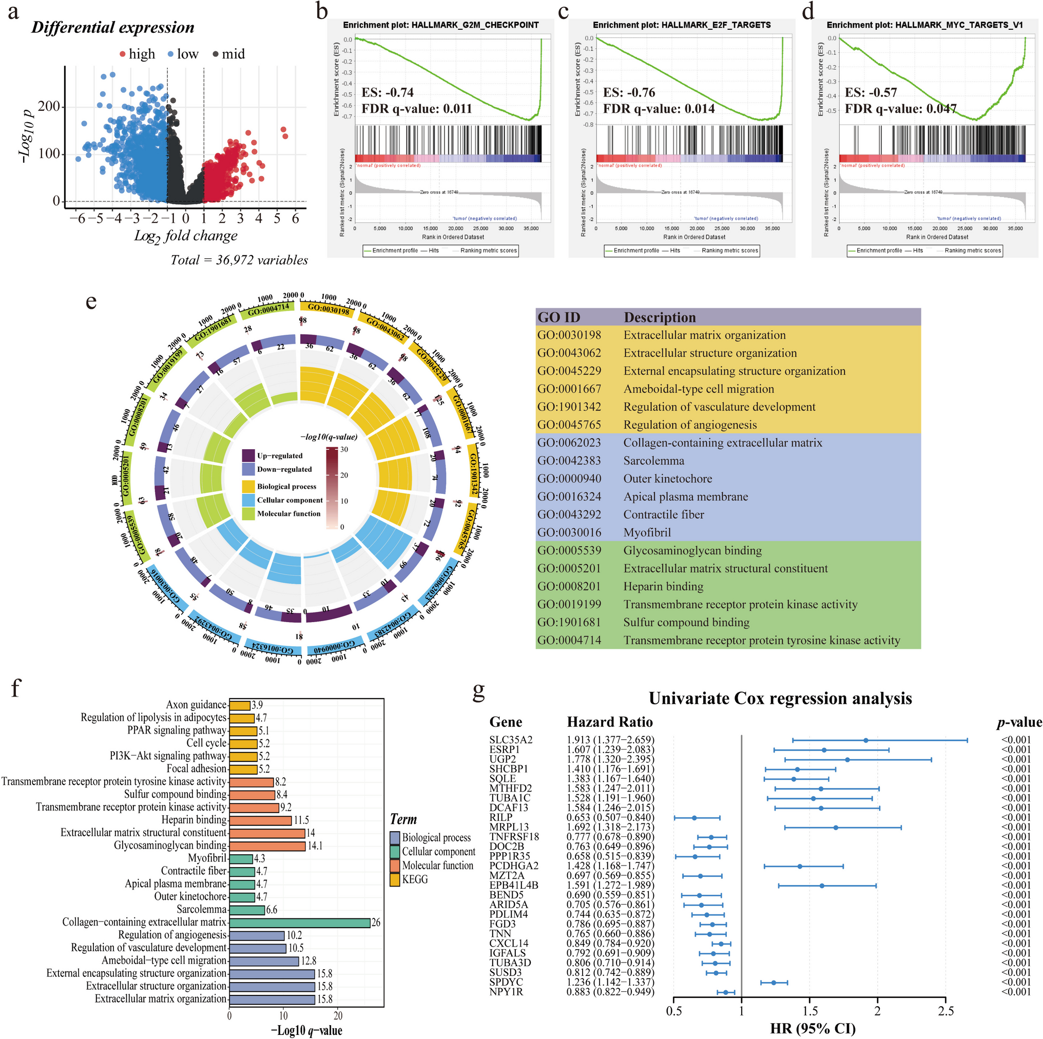 SPDYC serves as a prognostic biomarker related to lipid metabolism and the immune microenvironment in breast cancer