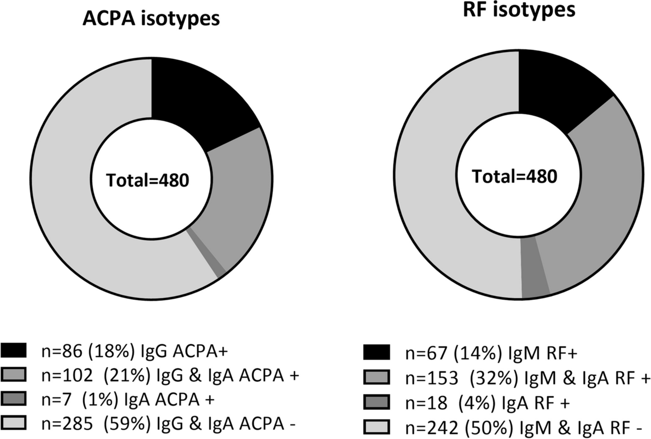 The prognostic value of IgA anti-citrullinated protein antibodies and rheumatoid factor in an early arthritis population with a treat-to-target approach