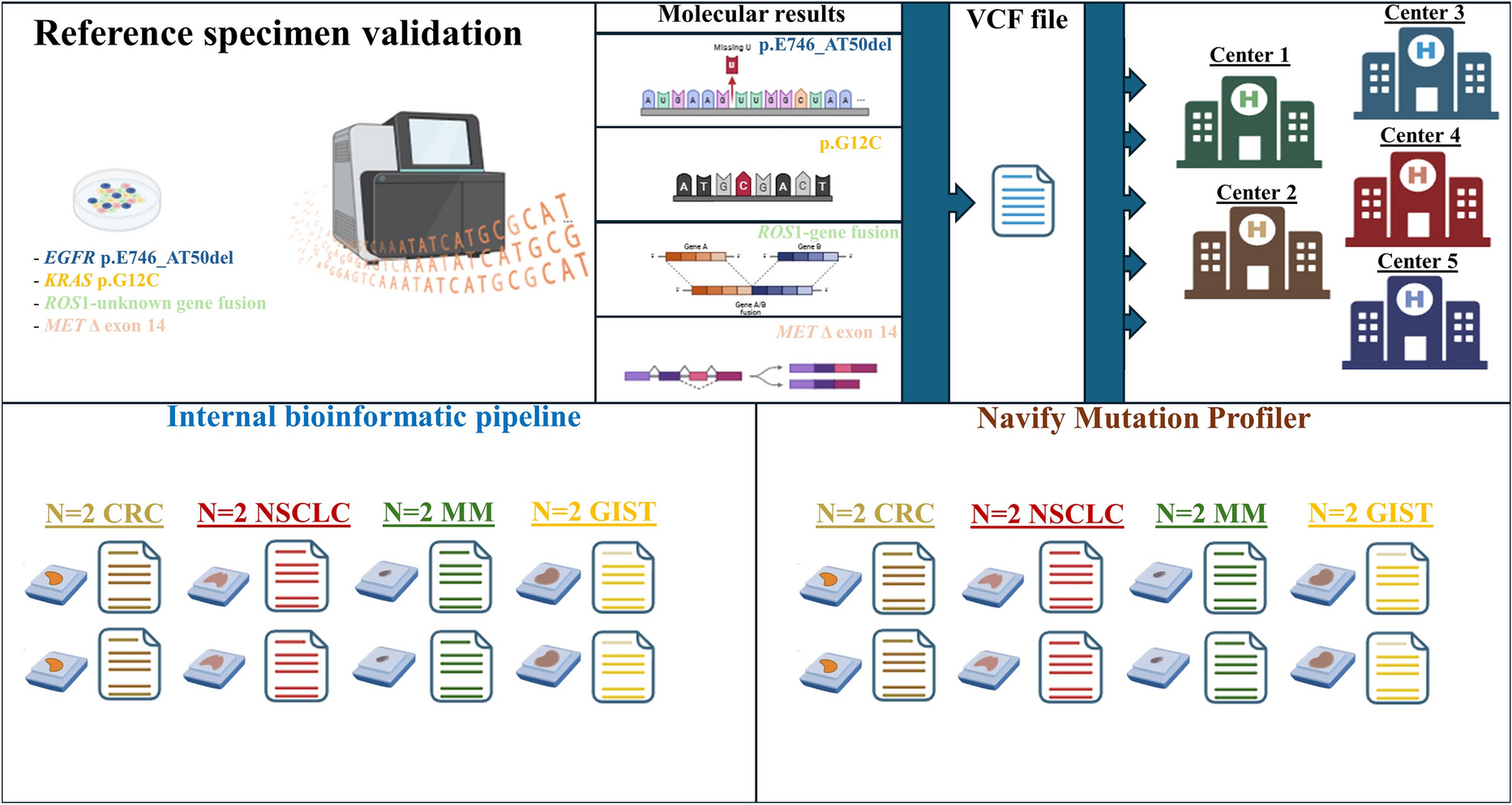 A Cross-Sectional Study of Variant Interpretation and Reporting of NGS Data Using Tertiary Analysis Software: Navify® Mutation Profiler