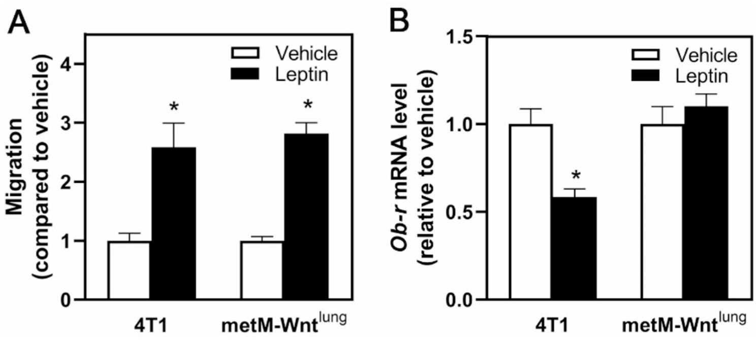 Differential effects of leptin on energy metabolism in murine cell models of metastatic triple negative breast cancer