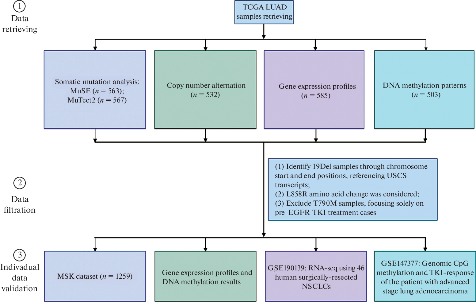 Exploring the Cause of Survival Disparities in EGFR-Mutated Lung Cancer Subtypes: Unraveling Distinctive Genomic and Phenotypic Features of 19Del and L858R Mutation Subtypes