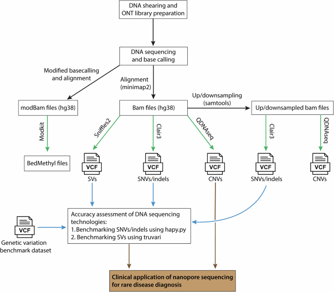 Benchmarking nanopore sequencing and rapid genomics feasibility: validation at a quaternary hospital in New Zealand