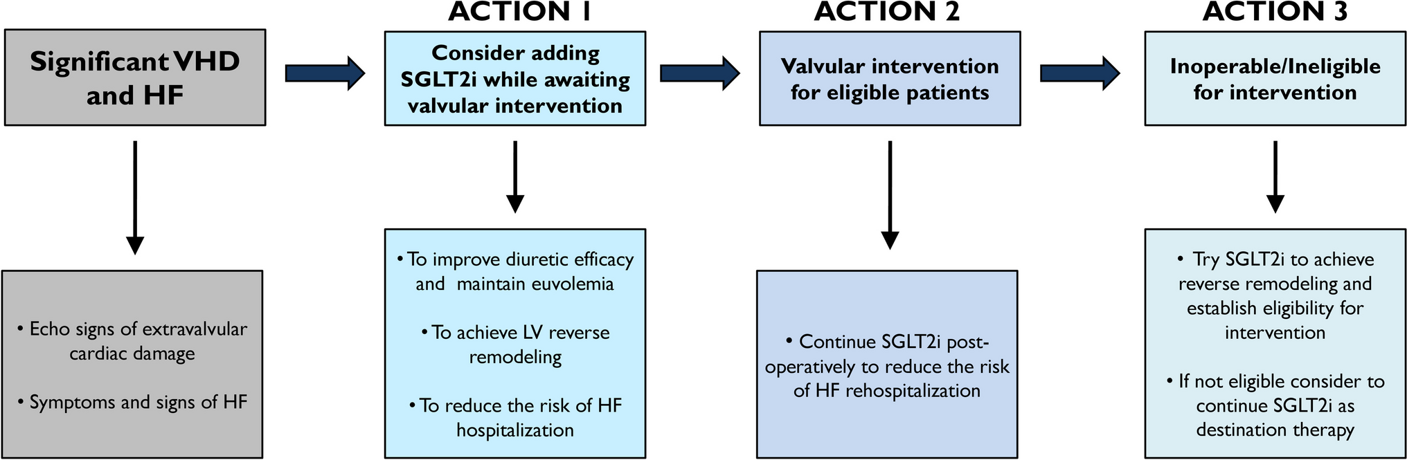 Could SGLT2 inhibitors improve outcomes in patients with heart failure and significant valvular heart disease? Need for action