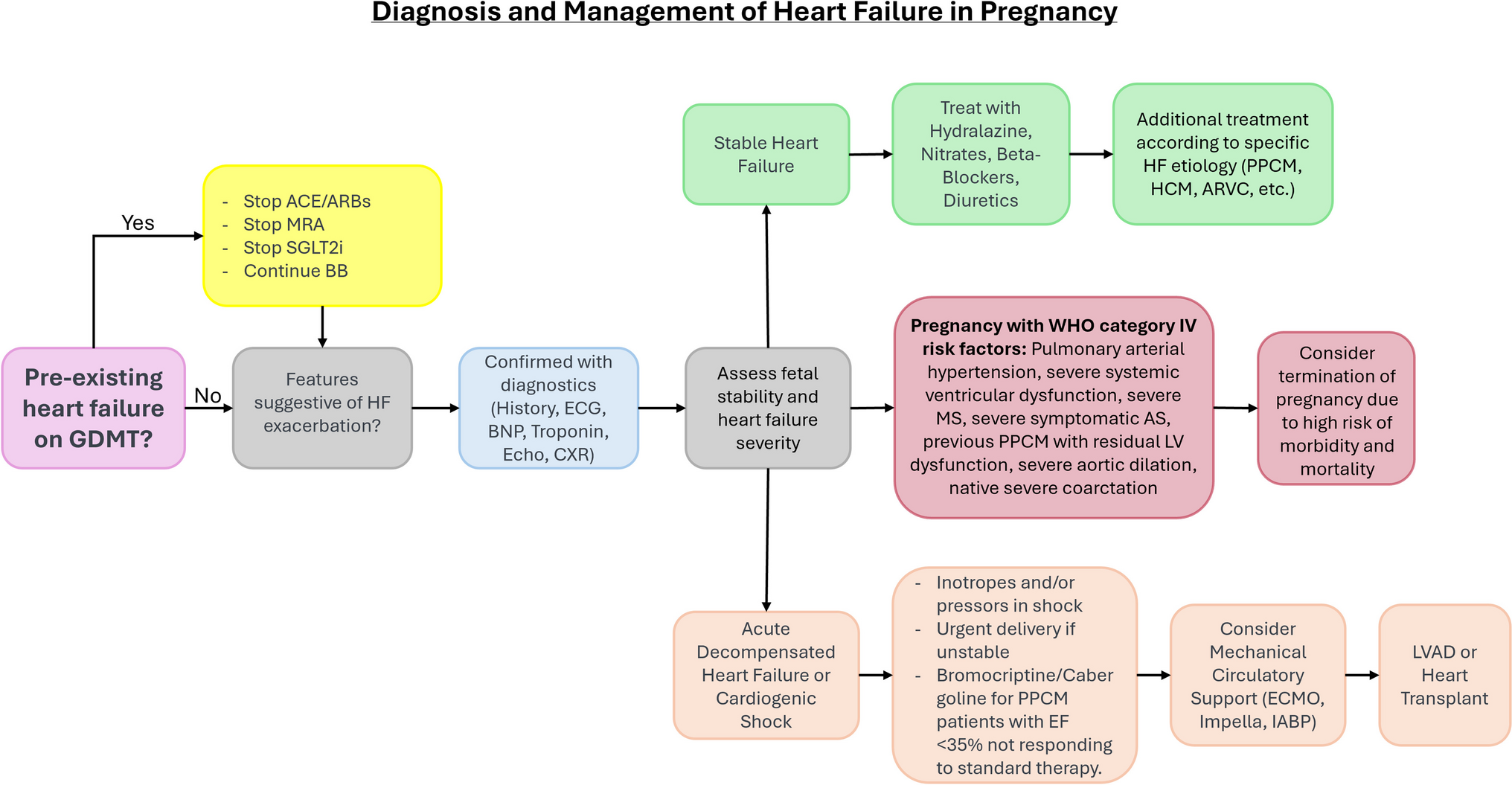 Maternal heart failure: state-of-the-art review