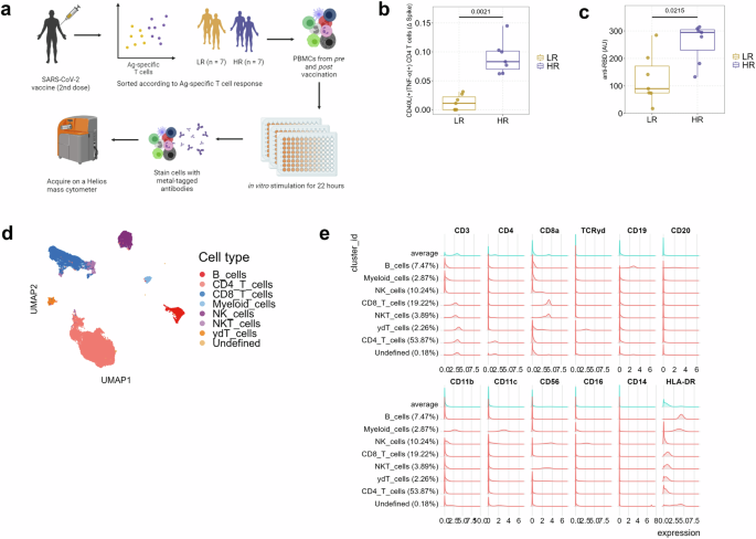 Mass cytometry reveals cellular correlates of immune response heterogeneity to SARS-CoV-2 vaccination in the elderly