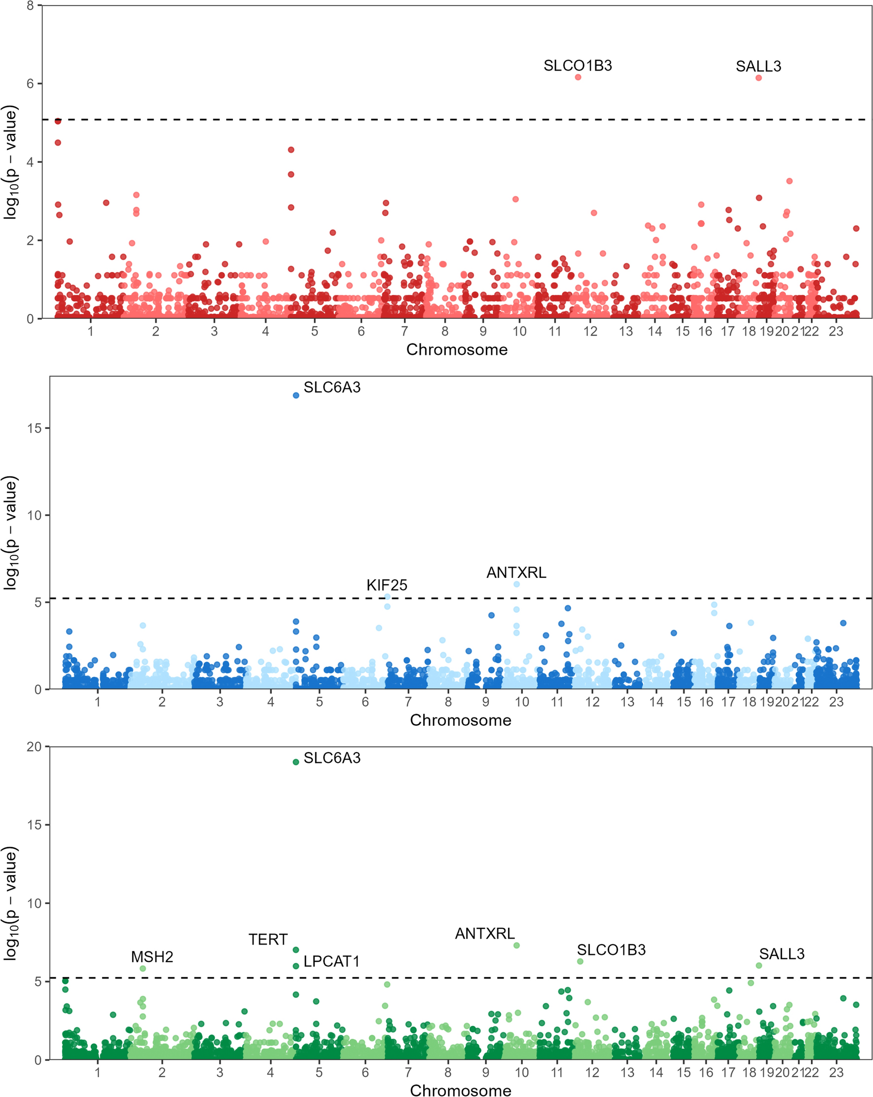 Germline copy number variants and endometrial cancer risk