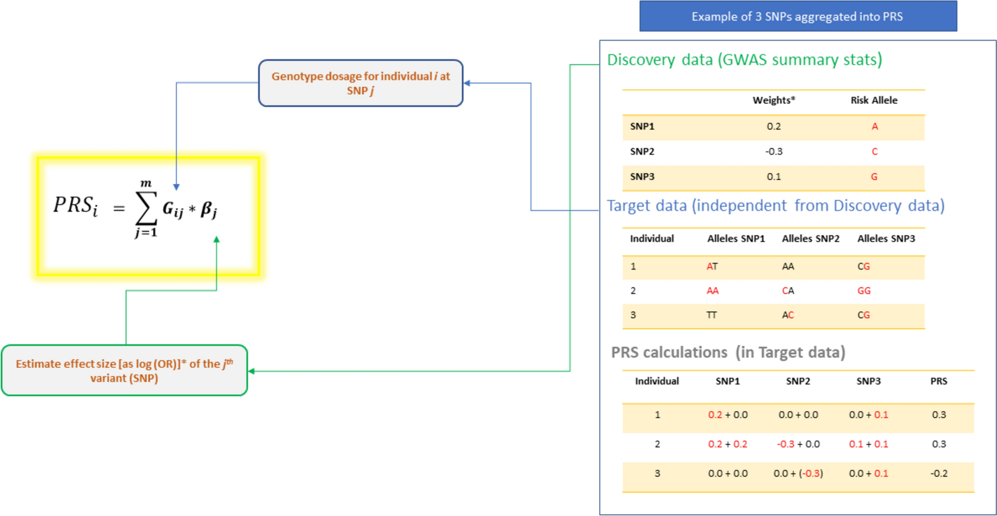 Methodologies underpinning polygenic risk scores estimation: a comprehensive overview
