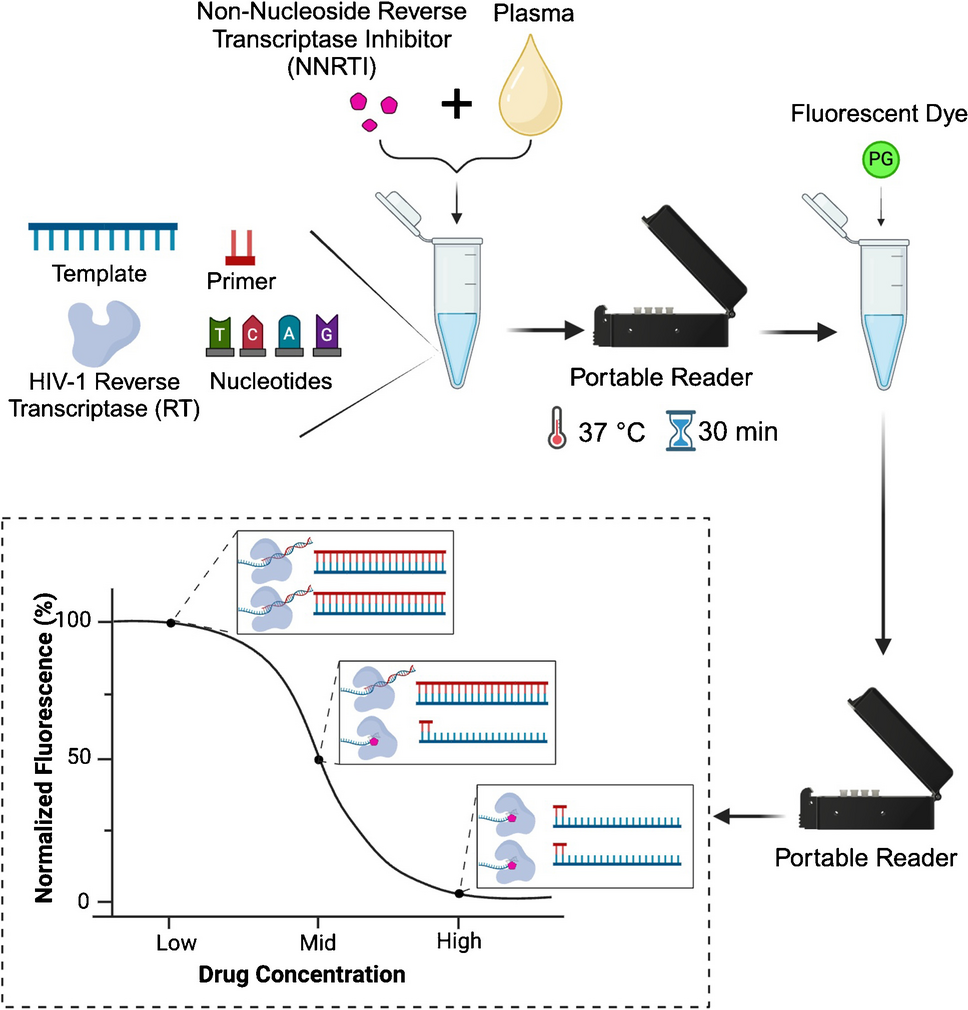 REverse transcriptase ACTivity (REACT) assay for point-of-care measurement of established and emerging antiretrovirals for HIV treatment and prevention