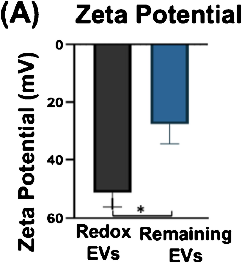 Correction to: Extraction of redox extracellular vesicles using exclusion‑based sample preparation
