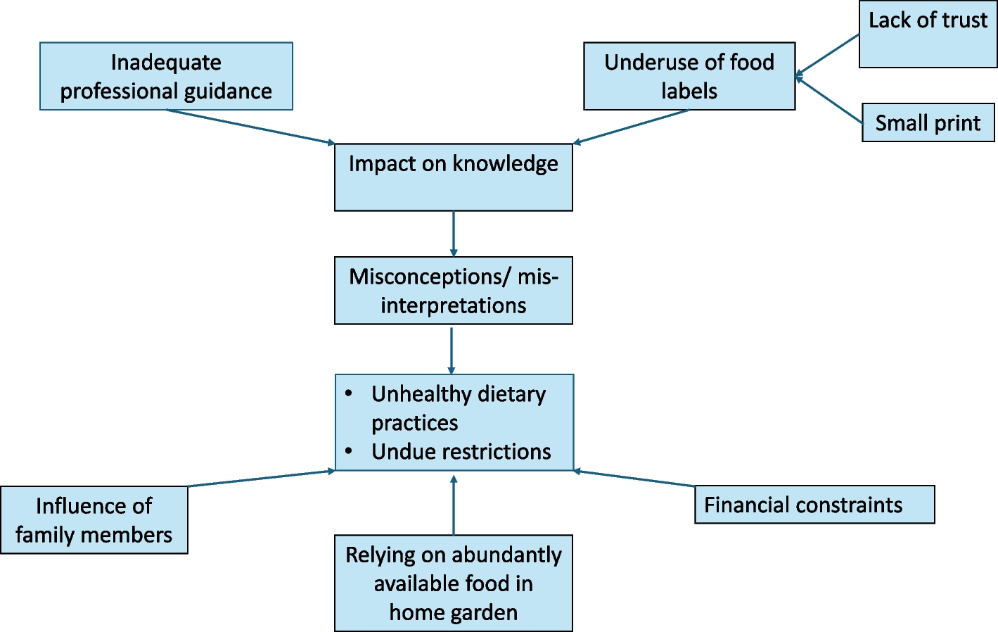 Perception of diet, dietary practices and sources of dietary information among people with type 2 diabetes followed up at a tertiary care outpatient clinic: a qualitative study