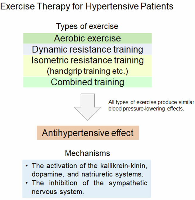 Evidence for exercise therapies including isometric handgrip training for hypertensive patients