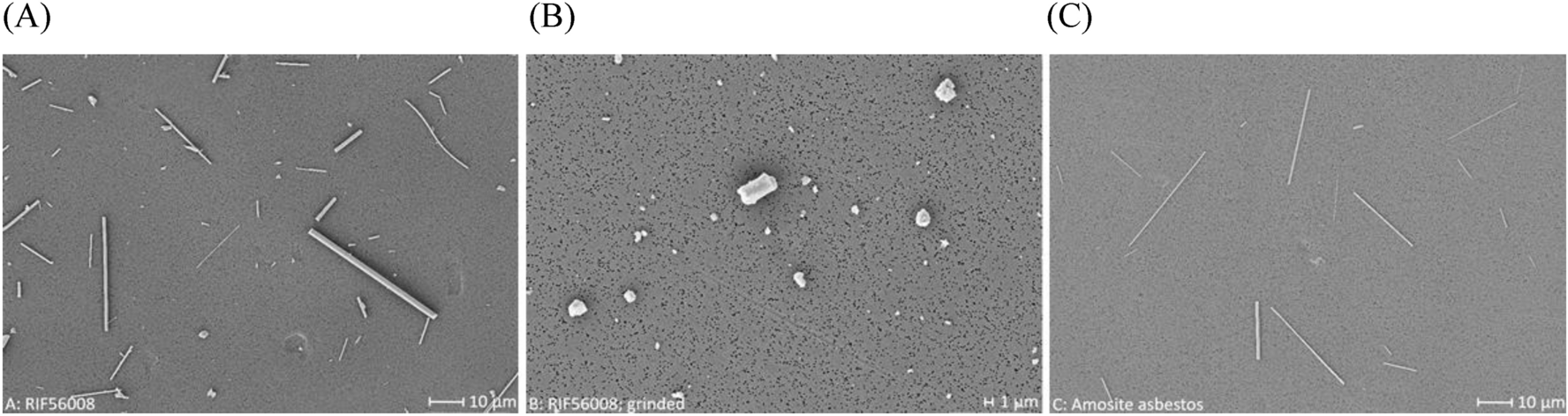 Methodological steps forward in toxicological in vitro screening of mineral wools in primary rat alveolar macrophages and normal rat mesothelial NRM2 cells