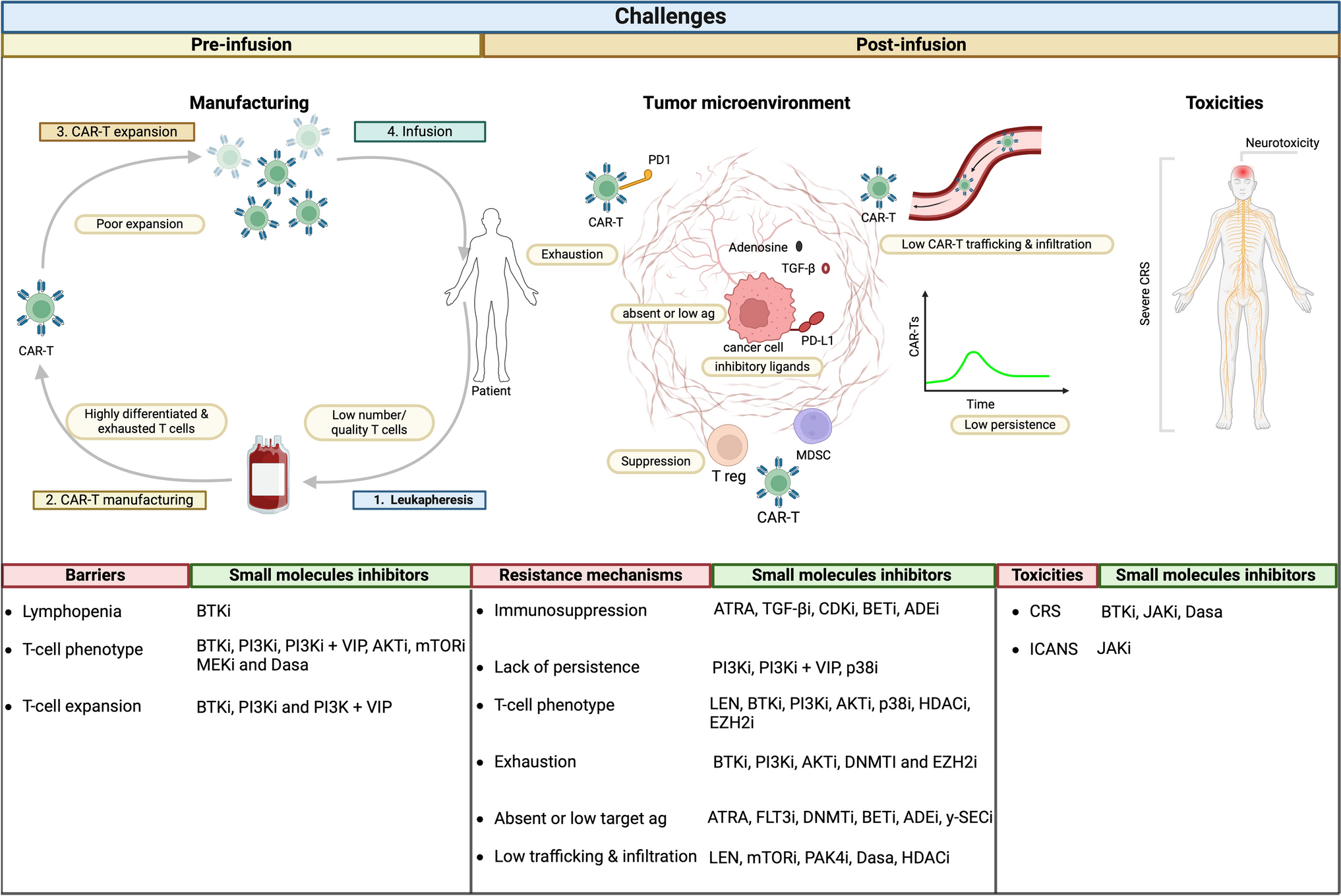 Accelerating CAR-T Cell Therapies with Small-Molecule Inhibitors