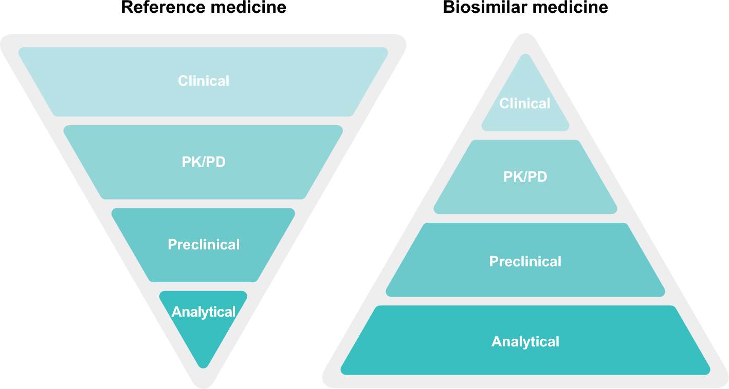 Introducing the Biosimilar Paradigm to Neurology: The Totality of Evidence for the First Biosimilar Natalizumab