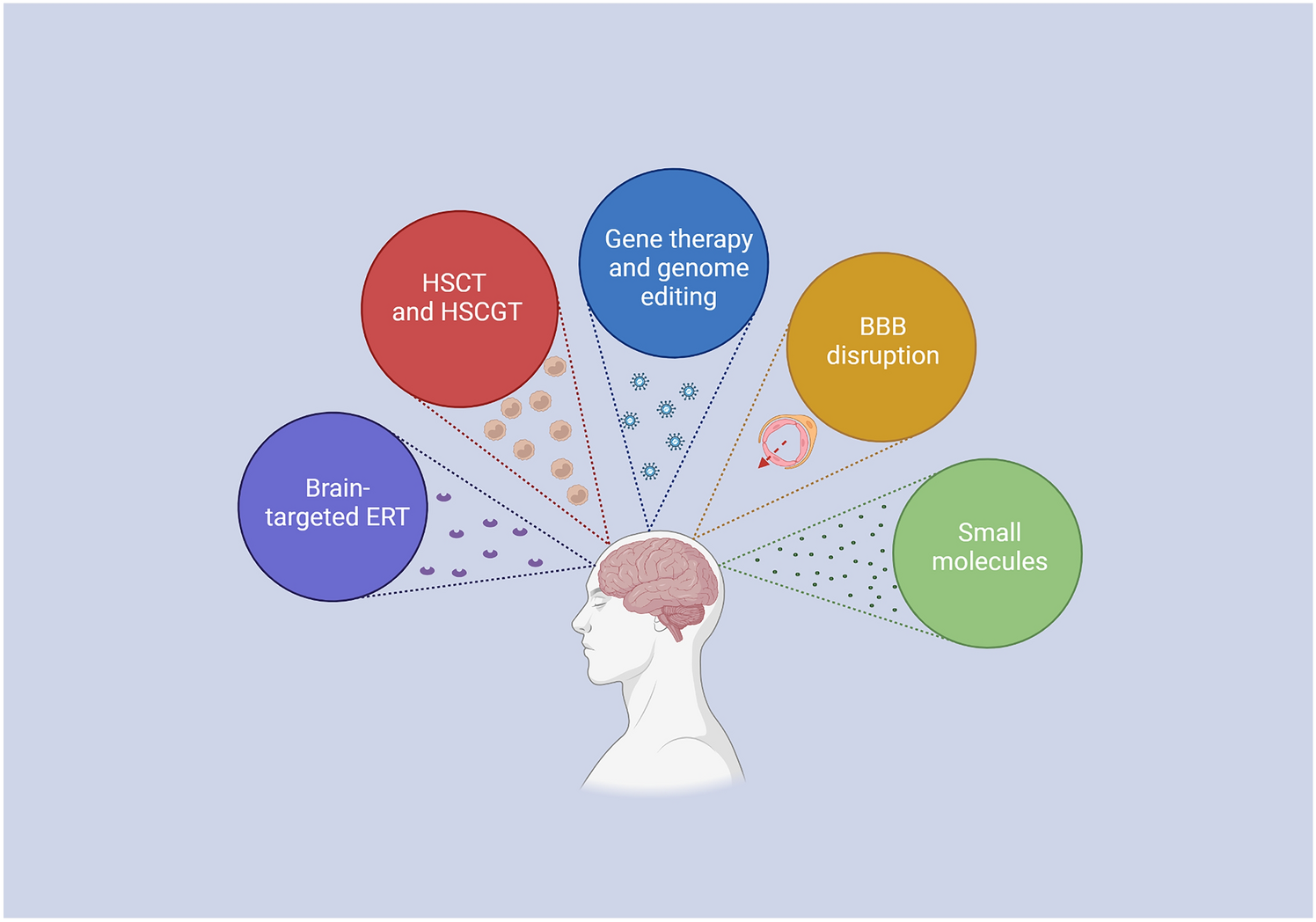 Targeting Neurological Aspects of Mucopolysaccharidosis Type II: Enzyme Replacement Therapy and Beyond