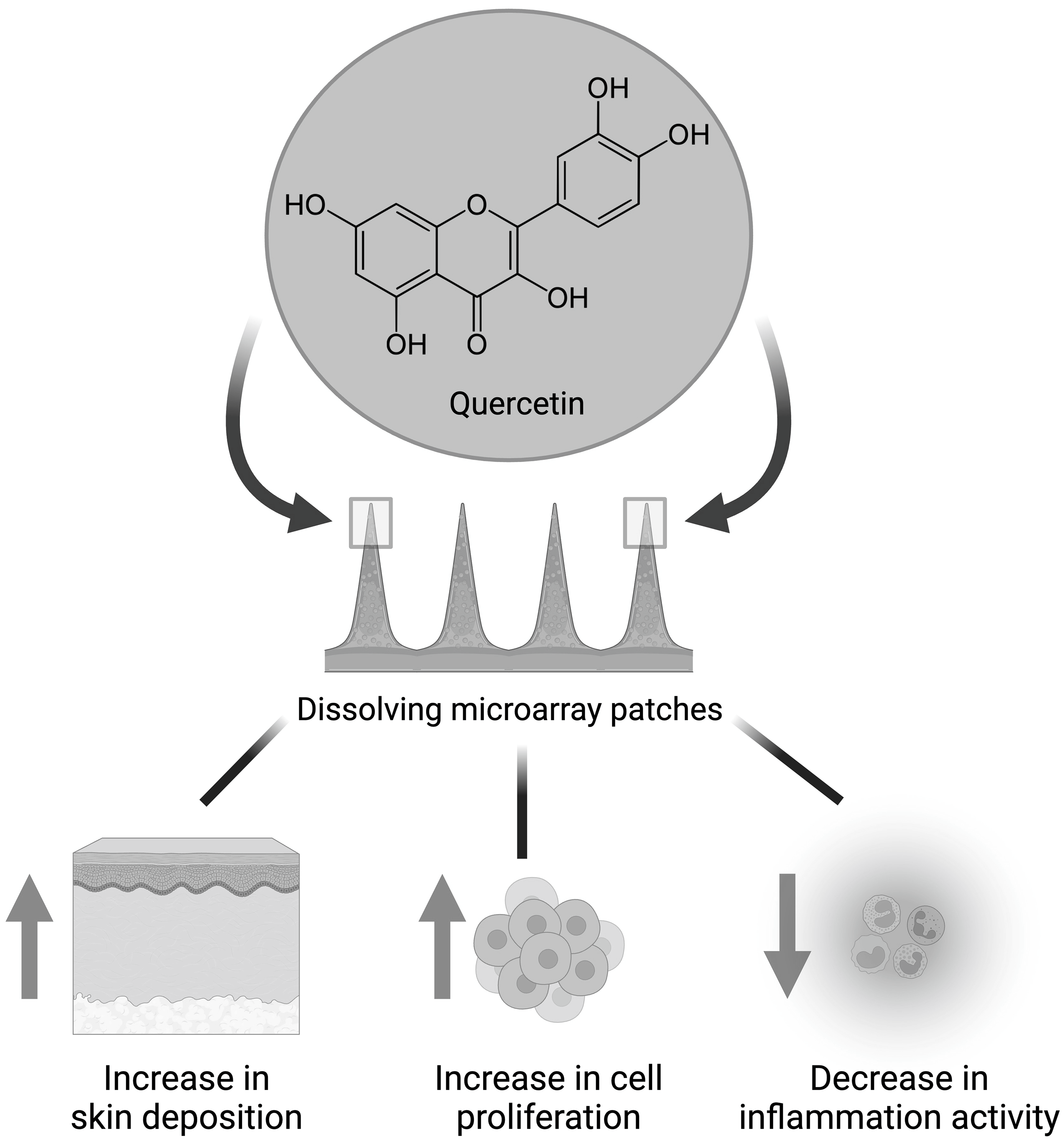Quercetin loaded polymeric dissolving microarray patches: fabrication, characterisation and evaluation