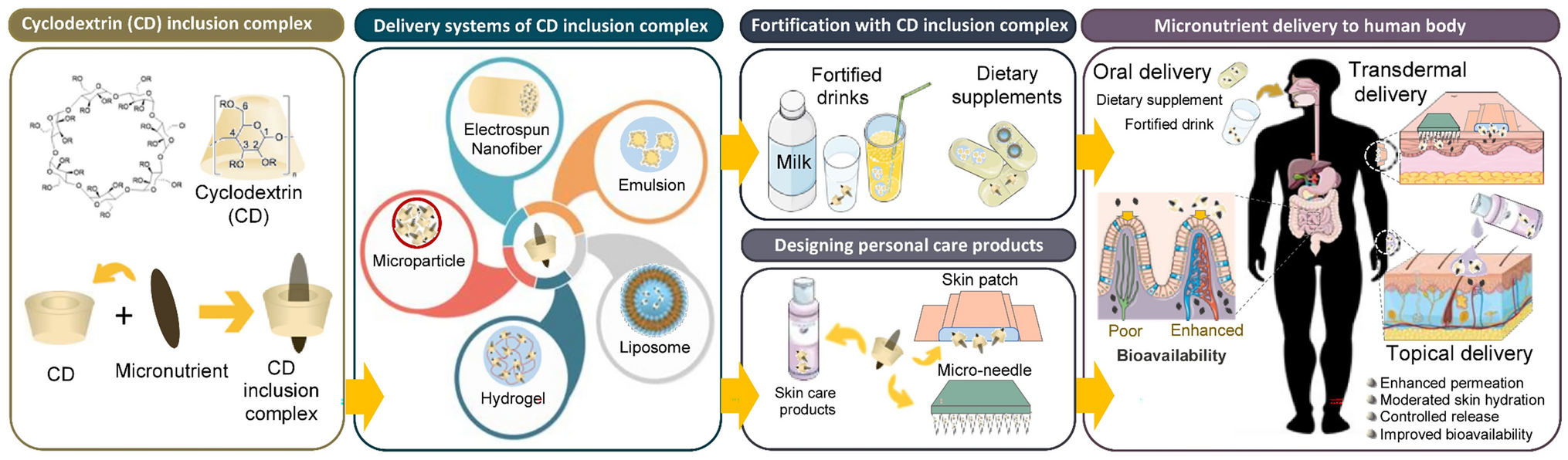 Cyclodextrins and their potential applications for delivering vitamins, iron, and iodine for improving micronutrient status