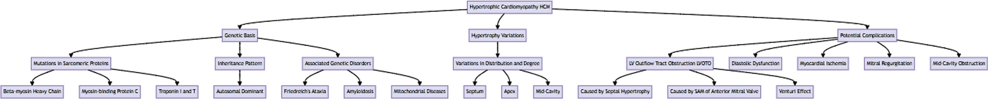 Obstructive hypertrophic cardiomyopathy: from genetic insights to a multimodal therapeutic approach with mavacamten, aficamten, and beyond