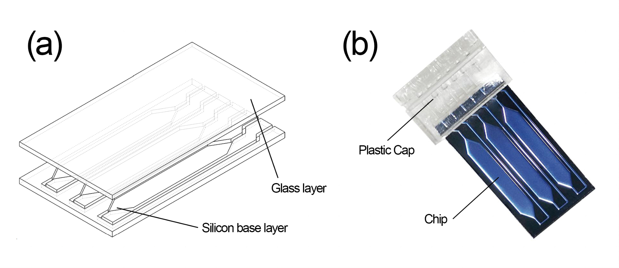 Rapid, multiplex and automated detection of bacteria and fungi in endophthalmitis via a microfluidic real-time pcr system