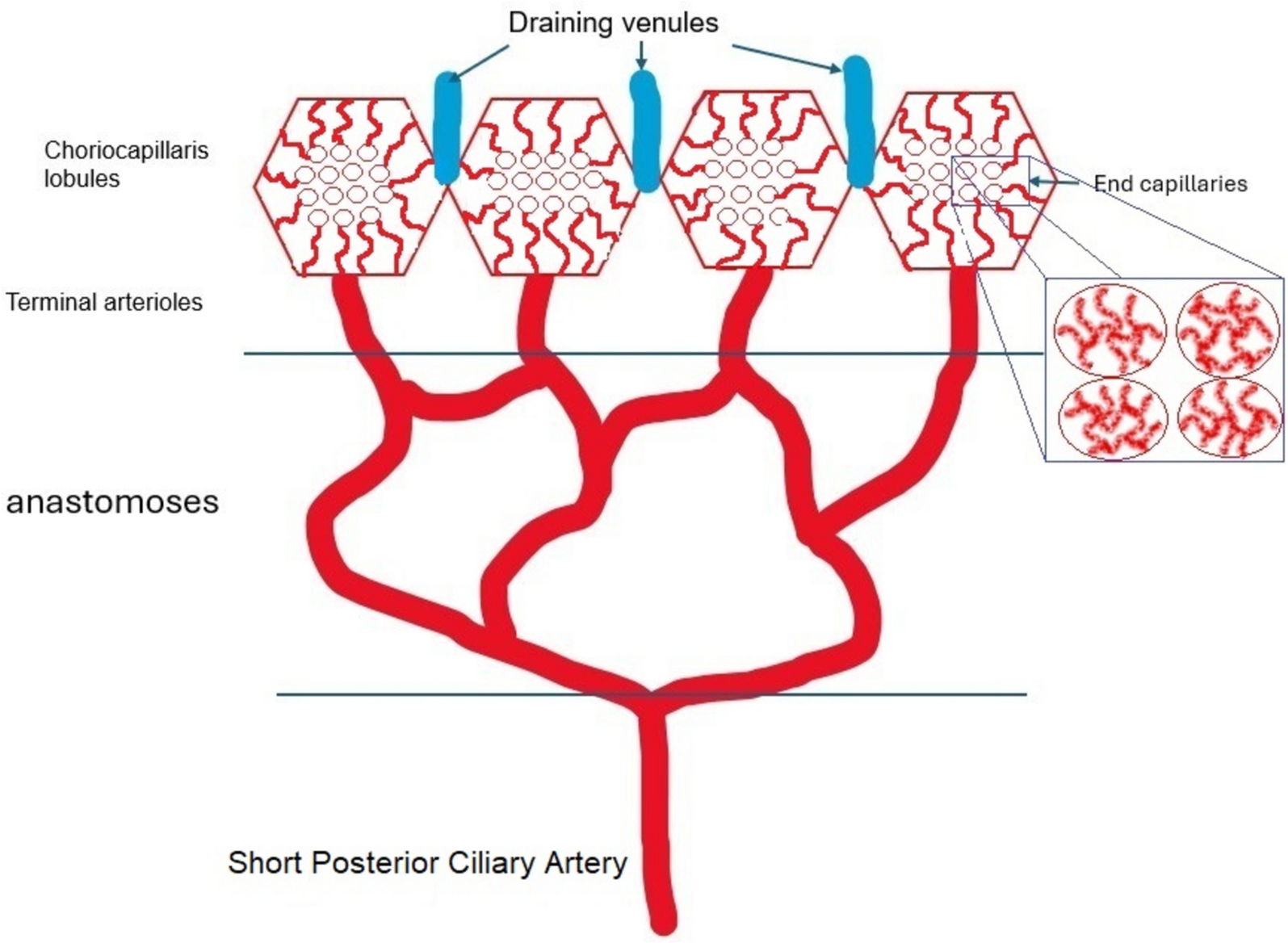 Choroidal vasculitis as a biomarker of inflammation of the choroid. Indocyanine Green Angiography (ICGA) spearheading for diagnosis and follow-up, an imaging tutorial