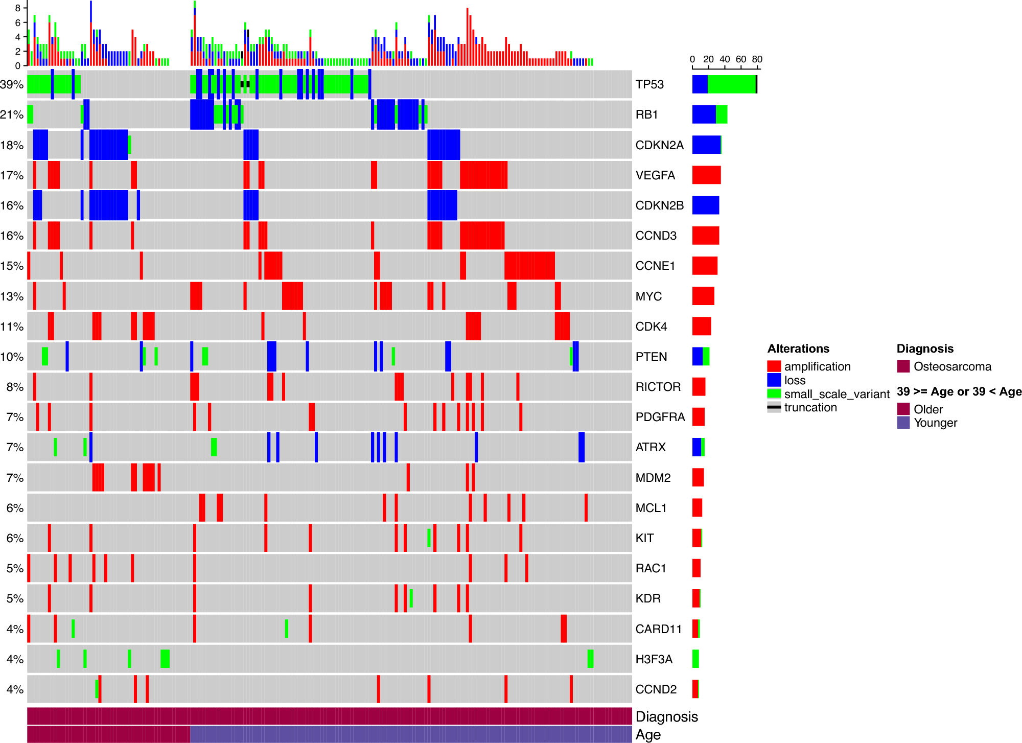 Age-related genomic alterations and chemotherapy sensitivity in osteosarcoma: insights from cancer genome profiling analyses