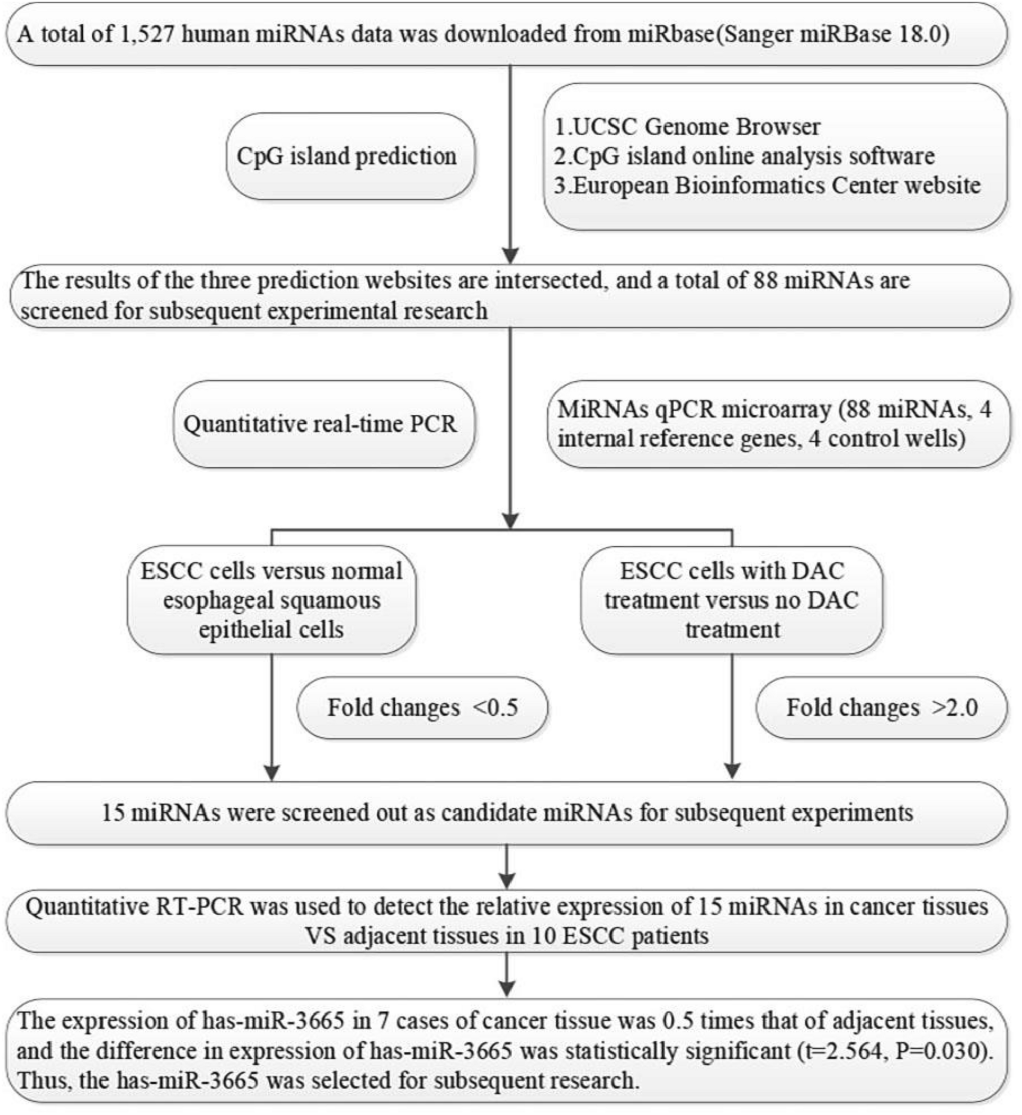Discovery and validation of Hsa-microRNA-3665 promoter methylation as a potential biomarker for the prognosis of esophageal squaous cell carcinoma