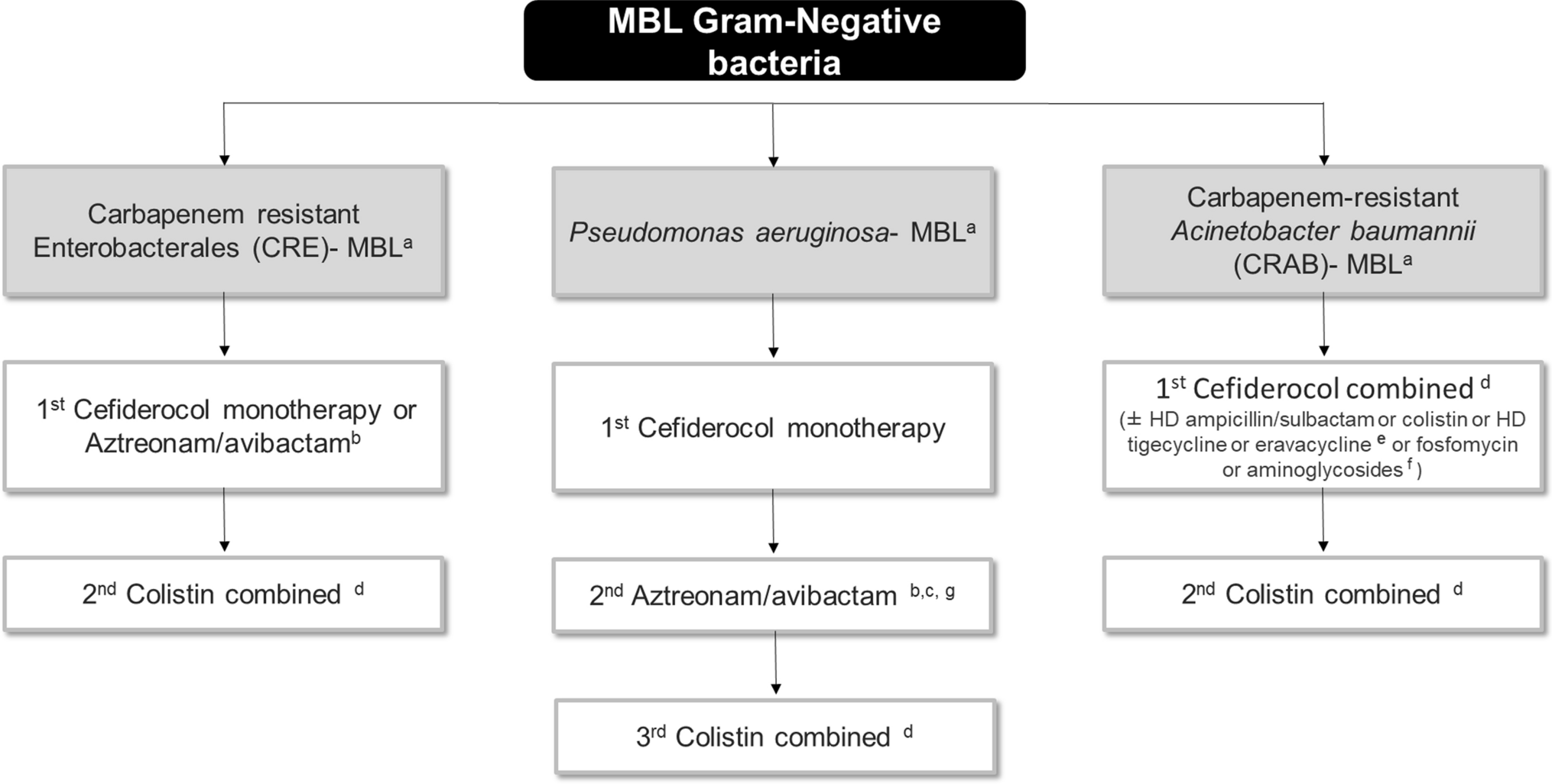 The Challenge of Treating Infections Caused by Metallo‐β‐Lactamase–Producing Gram-Negative Bacteria: A Narrative Review