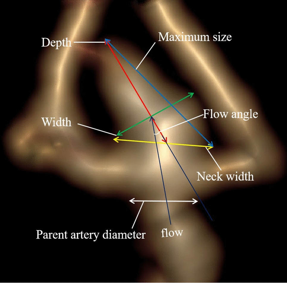 Assessment of the stability of intracranial aneurysms using a deep learning model based on computed tomography angiography