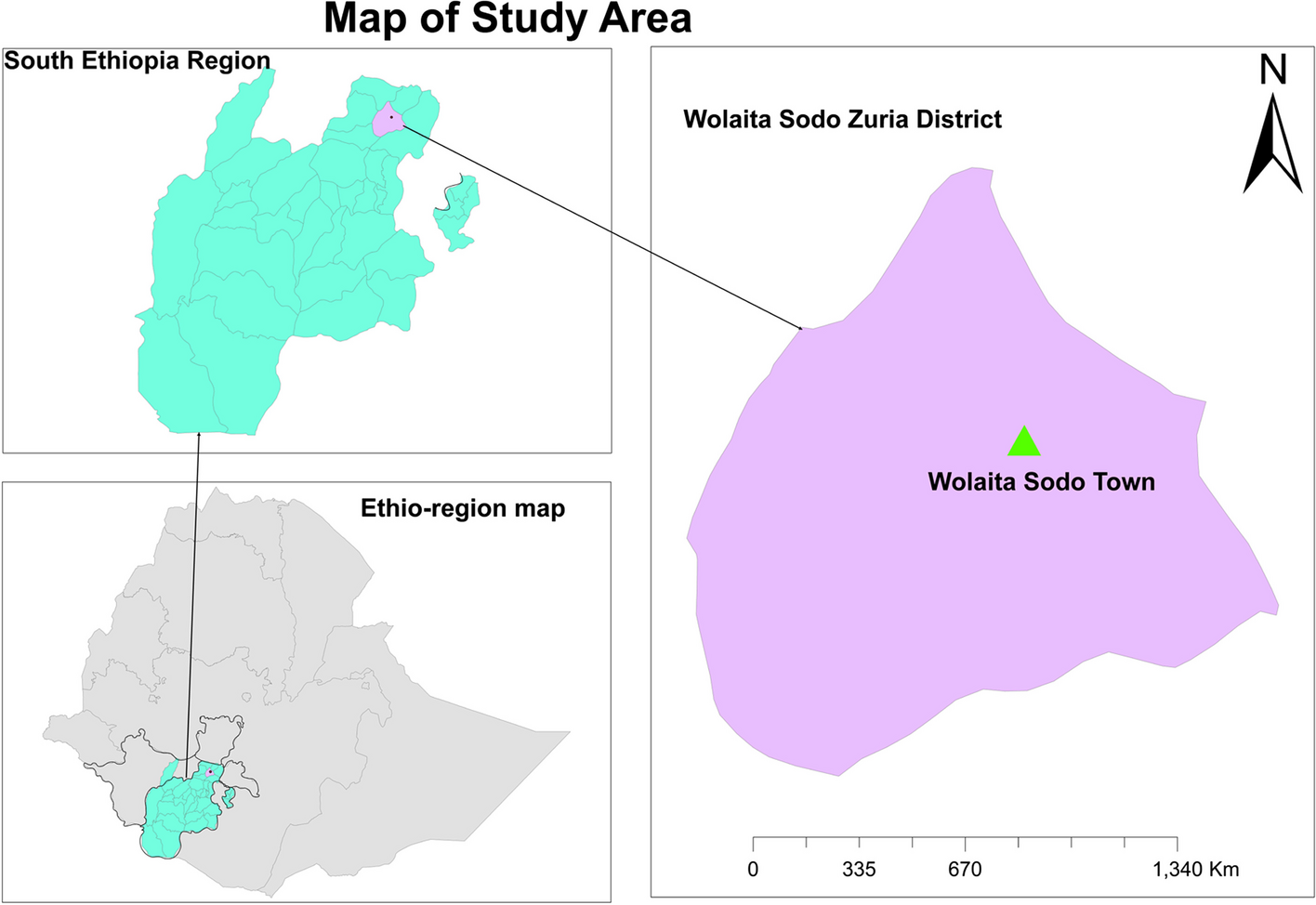 Occurrence and antimicrobial susceptibility of Salmonella enterica in milk along the supply chain, humans, and the environment in Woliata Sodo, Ethiopia