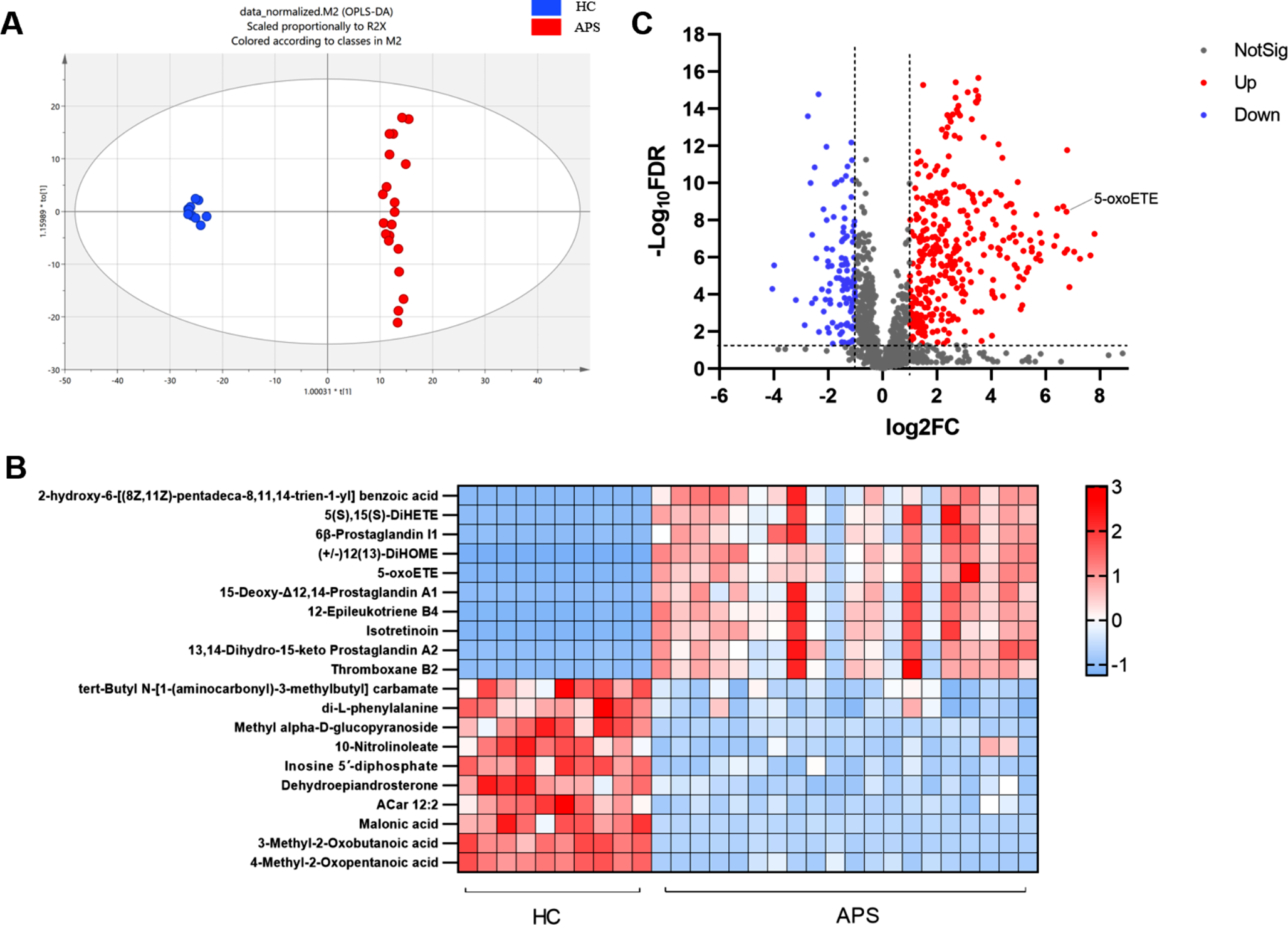5-oxoETE promote thrombosis in antiphospholipid syndrome by triggering NETs formation through PLC/PKC/ERK pathway