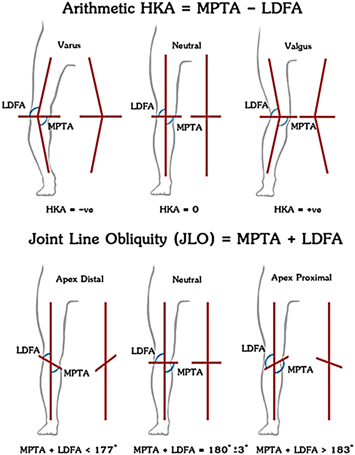 Distribution and gender-specific differences of coronal plane alignment of healthy knee