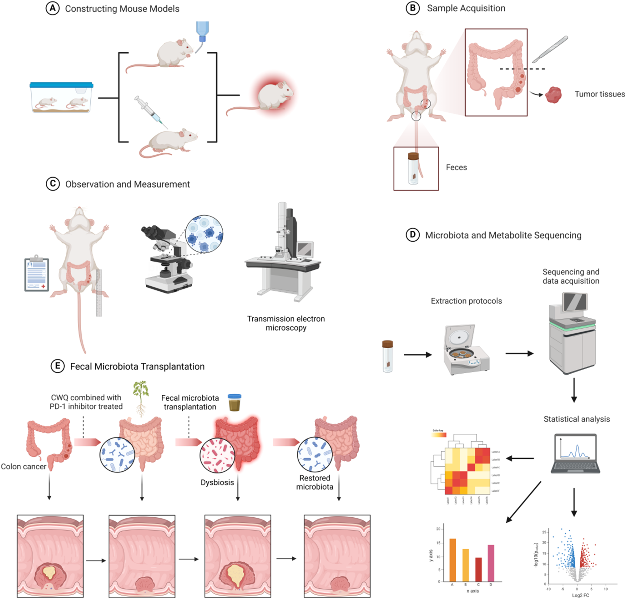 Chang-Wei-Qing Combined with PD-1 Inhibitor Alleviates Colitis-Associated Colorectal Tumorigenesis by Modulating the Gut Microbiota and Restoring Intestinal Barrier