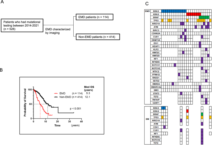 Integration of clinical outcomes and molecular features in extramedullary disease in multiple myeloma