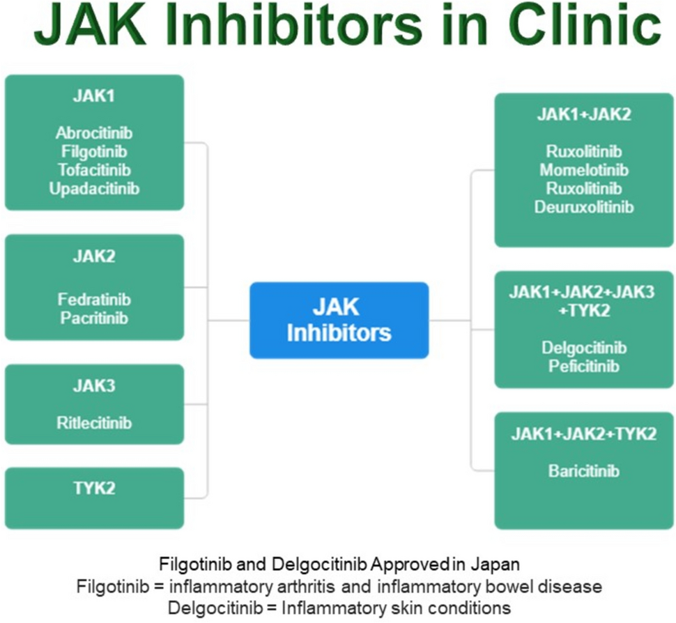 Pharmaceutical aspects of JAK inhibitors: a comparative review