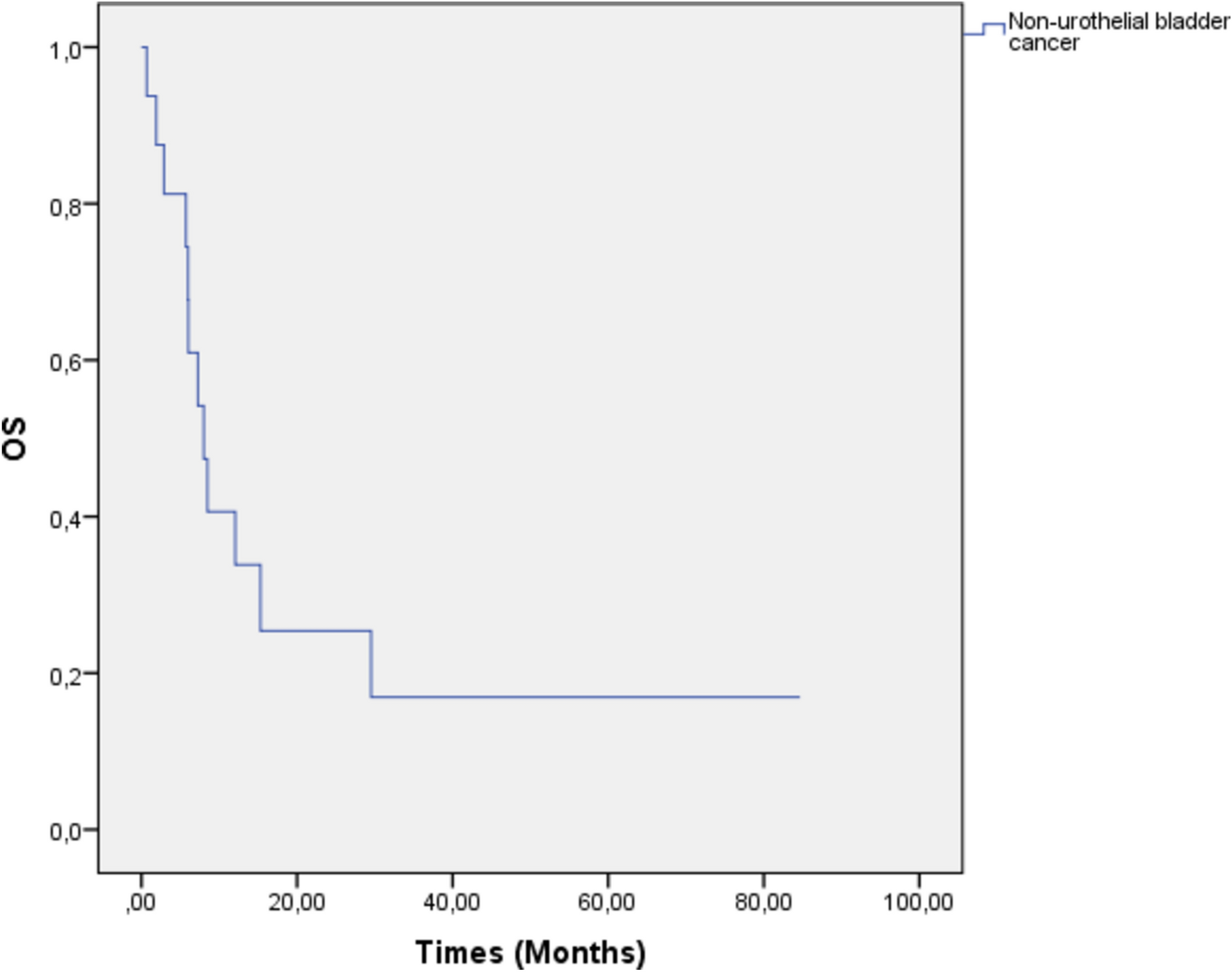 Clinicopathological features and treatment outcomes of urothelial carcinoma variant histologies and non-urothelial bladder cancers