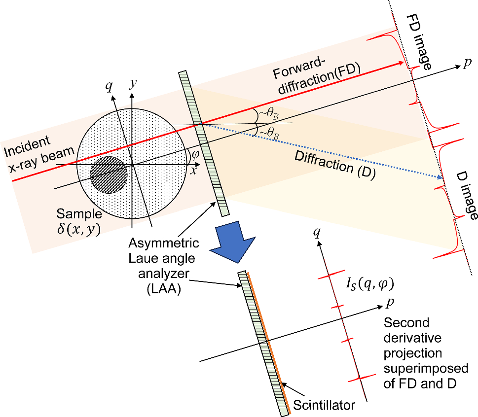 Superimposed Wavefront Imaging of Diffraction-enhanced X-rays: sparsity-aware CT reconstruction from limited-view projections