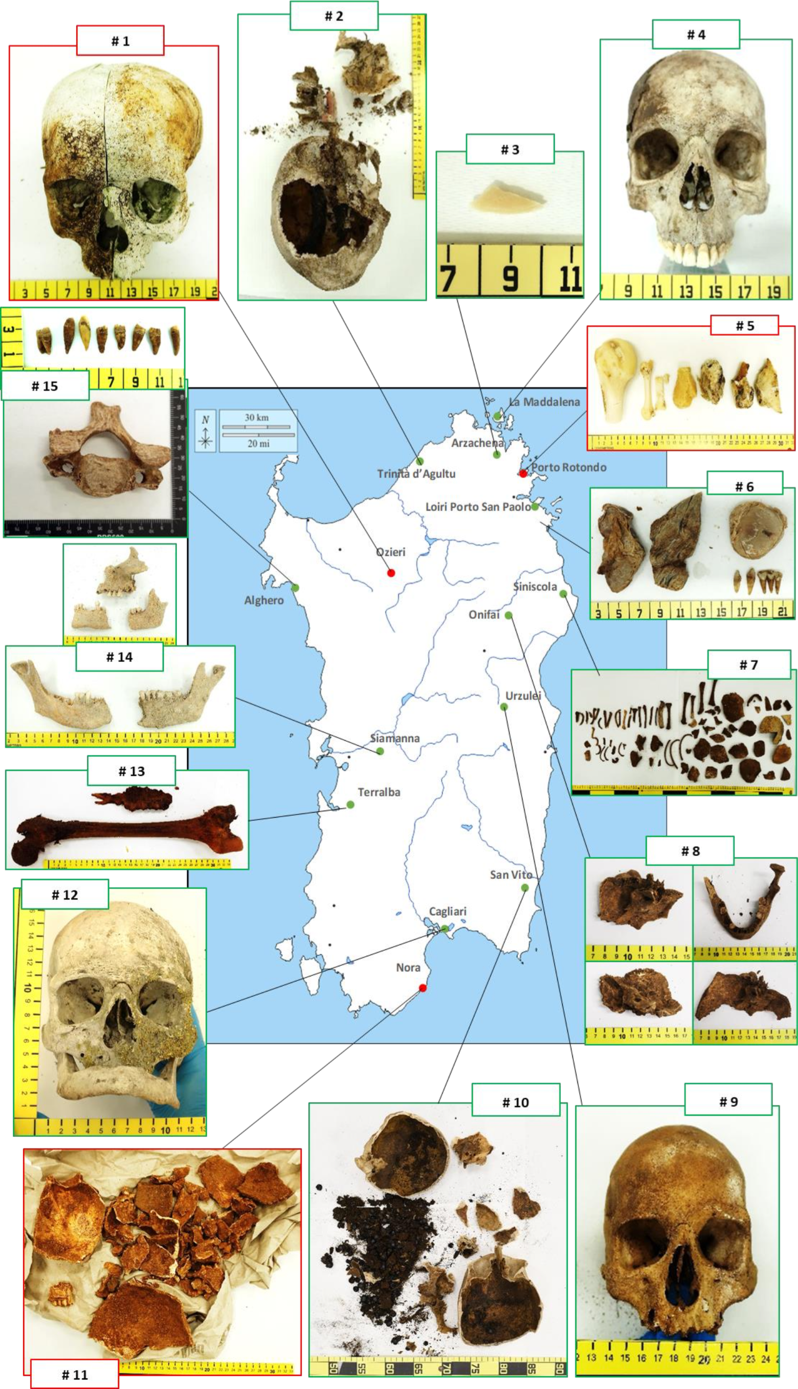 12 real forensic cases solved by the DNA STR-typing of skeletal remains exposed to extreme environment conditions, without the conventional bone pulverization step