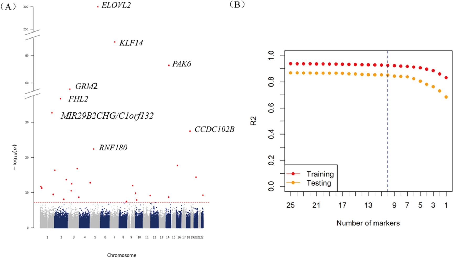 A methylation panel of 10 CpGs for accurate age inference via stepwise conditional epigenome-wide association study