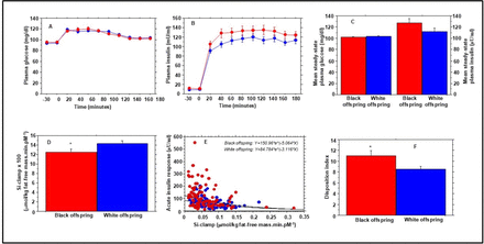 Insulin secretion, sensitivity, and clearance in normoglycemic Black and White adults with parental type 2 diabetes: association with incident dysglycemia