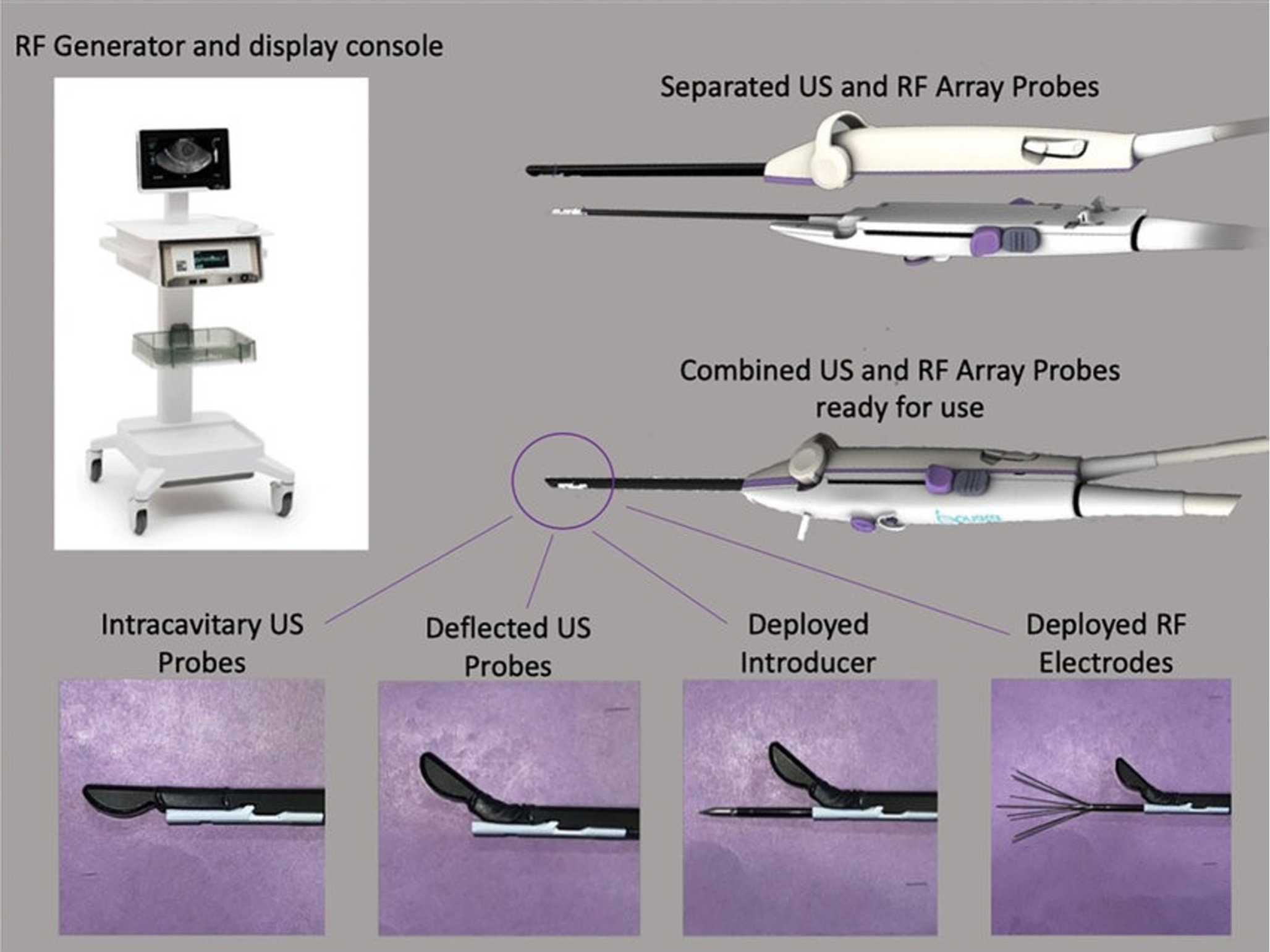 Transcervical Fibroid Ablation (TFA): Current Status and New Developments