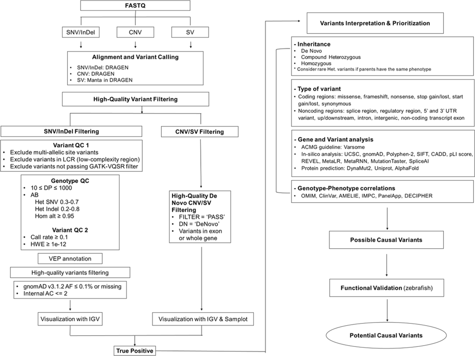 Uncovering potential causal genes for undiagnosed congenital anomalies using an in-house pipeline for trio-based whole-genome sequencing