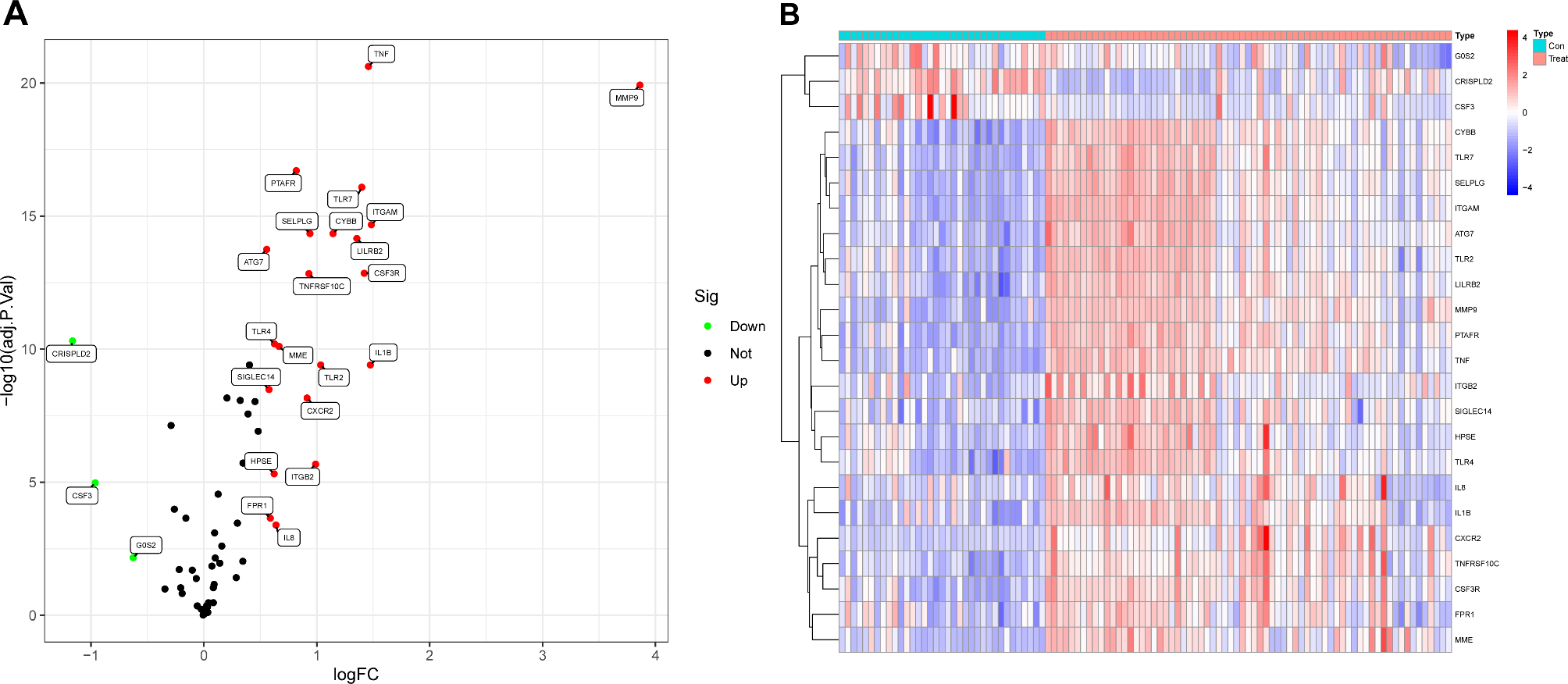 Identifying PTAFR as a hub gene in atherosclerosis: implications for NETosis and disease progression