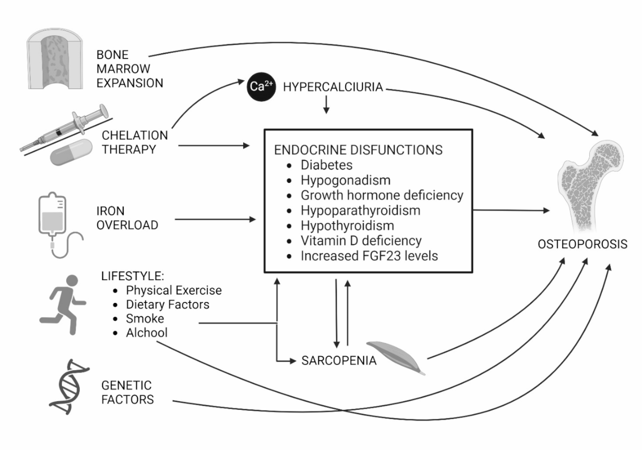 Aetiology, diagnosis and treatment of thalassemia-associated osteoporosis of the adult