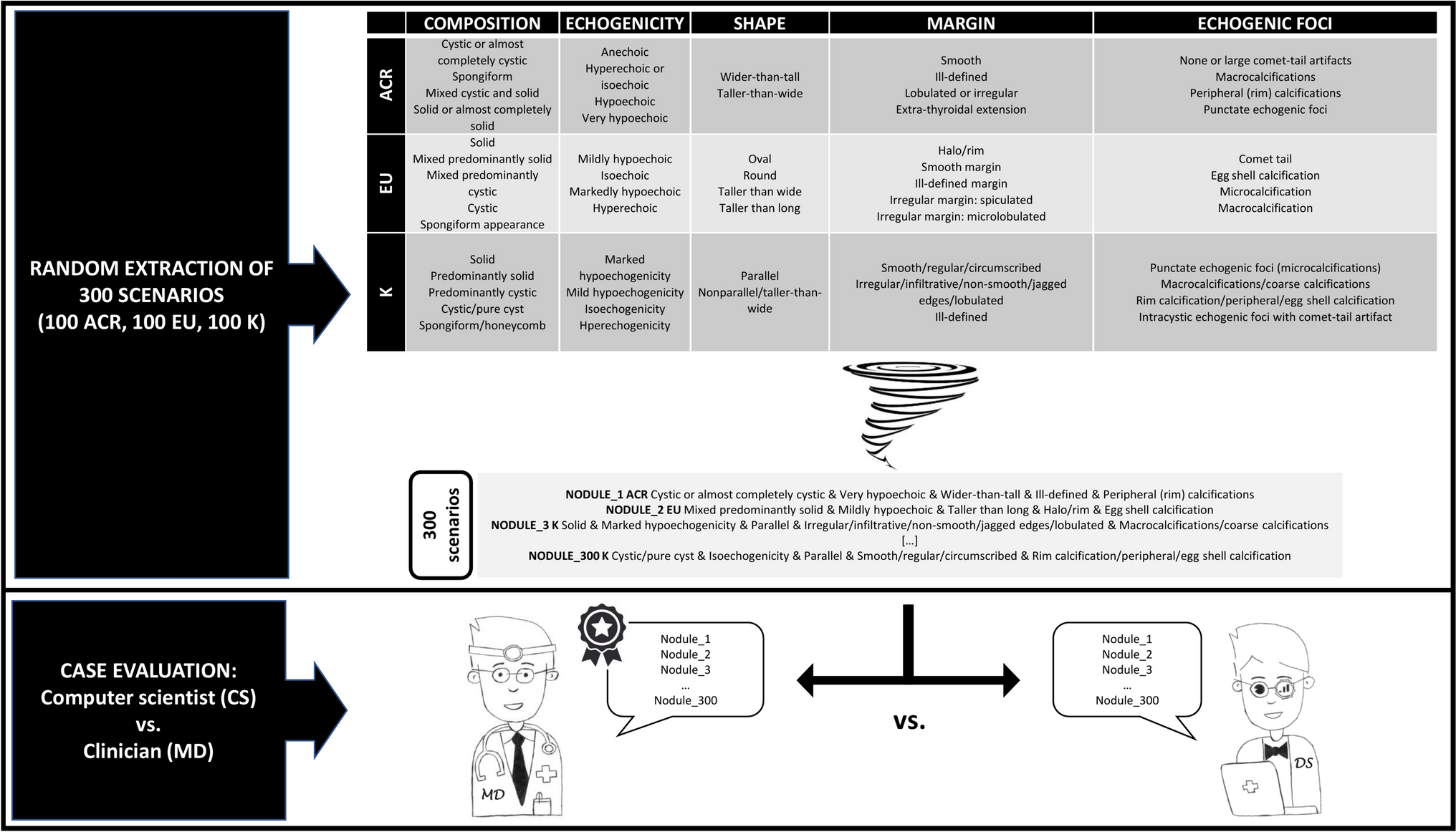 Performance of computer scientists in the assessment of thyroid nodules using TIRADS lexicons