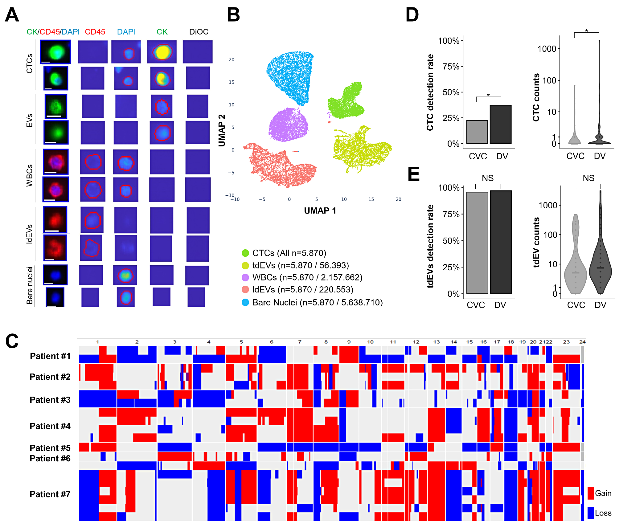 Phenotypic diversity of CTCs and tdEVs in liquid biopsies of tumour-draining veins is linked to poor prognosis in colorectal cancer
