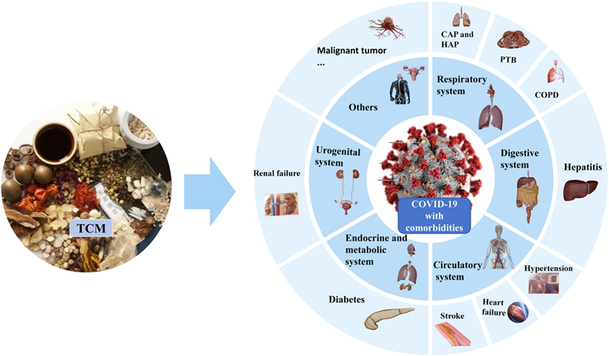 Recent advancements in traditional Chinese medicine for COVID-19 with comorbidities across various systems: a scoping review