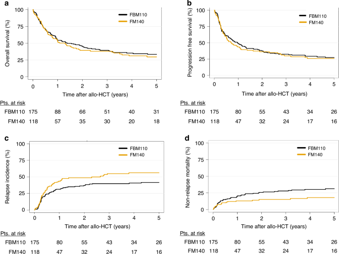 Comparison of fludarabine/melphalan (FM140) with fludarabine/melphalan/BCNU (FBM110) in patients with relapsed/refractory AML undergoing allogeneic hematopoietic cell transplantation – a registry study on behalf of the EBMT Acute Leukemia Working Party