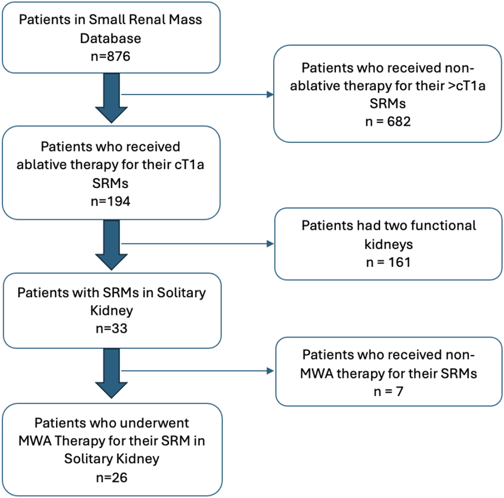 Efficacy and safety of microwave ablation in solitary kidney patients with T1a small renal masses